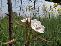 -驿舍·民國老营房院子私房菜(科学会堂店)