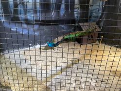 -酷嗒动物文化乐园(cutezoo西溪乐天城店)