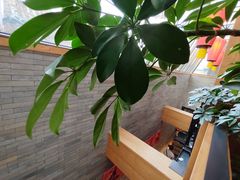 -胡大饭馆 24h(簋街总店)