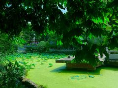 -国恩寺