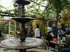 -The Grounds of Alexandria