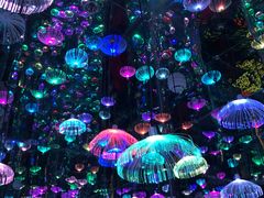 -梵高星空艺术馆(北京旗舰店)