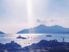 -西涌国际滨海旅游区