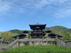 -大唐贡茶院