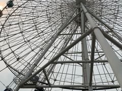 -飞来湖湿地公园