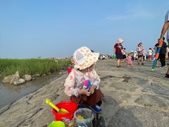 -南汇嘴观海公园