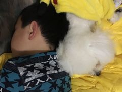 -康乐宝动物医院