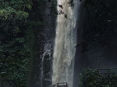 -莫里热带雨林景区