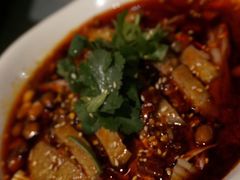-陈麻婆豆腐总店