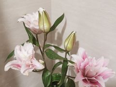 -BoBloom花店(晶耀前滩店)