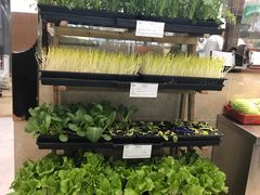 -金源山海一味(万科早城店)