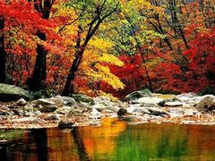 -丹东天桥沟景区