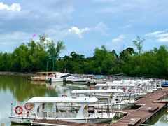 -东寨港红树林旅游区