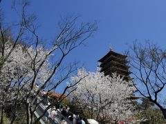 -牛首山文化旅游区