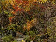 -叠溪松坪沟景区