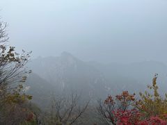 -大岭沟猕猴桃谷风景区