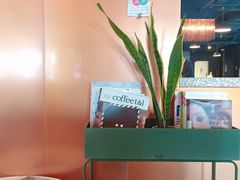 -sugarman espresso素饮糖人高新咖啡工厂