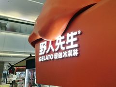 -野人先生现做冰淇淋(北京王府井东方新天地店)