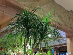 -春暖花开(西溪店)