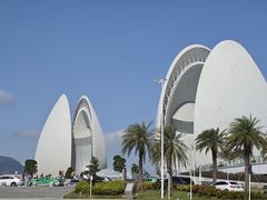 -野狸岛