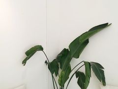 -收获咖啡HARVEST RESERVE(苍山店)
