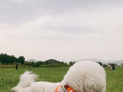 -十三陵水库