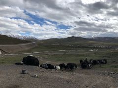 -扁都口生态休闲旅游区
