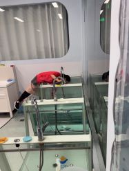 -沫奇婴幼儿水育馆(青山湖万达店)