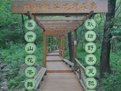 -大岭沟猕猴桃谷风景区