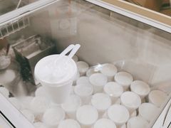 -洪馨椰子