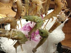 -尚海豆捞(乐虹坊店)