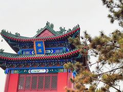 -天津市峰山药王古寺