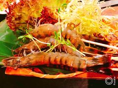 -大红袍火锅料理(尖沙咀店)