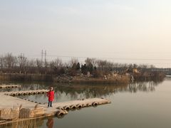 -大港湿地公园