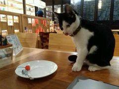 -猫的天空之城概念书店(杭州南宋御街店)