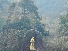 -宁波五龙潭景区