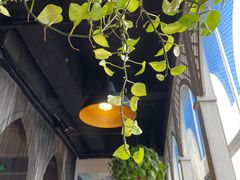 -新疆伏拉沃餐厅(白龙南路店)