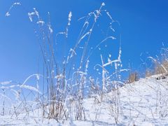 -塞罕坝国家级自然保护区