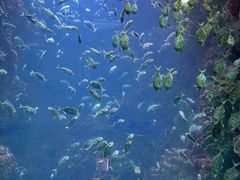 -海合安青岛极地海洋公园