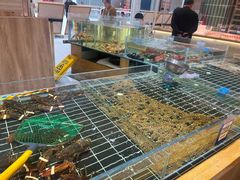 -阿毛饭店·宁波老字号(儿童公园旗舰店)