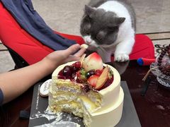 -半勺舒舒生日蛋糕店