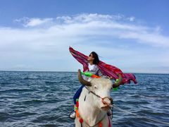 -青海湖国家重点风景名胜区