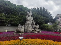 -金鸡山公园