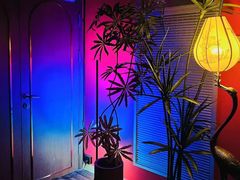 -JZ Club 爵士酒吧(上海店)
