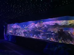-秦皇岛新澳海底世界