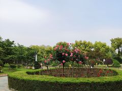 -堤角公园