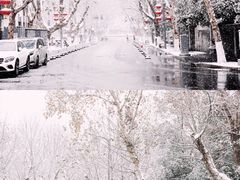 -颐和路民国时期公馆-风貌区