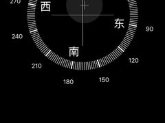 -塔尔寺菩提树