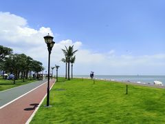 -野狸岛