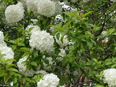 -杭州城北体育公园